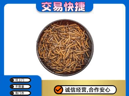 咸阳市乾县高价回收散虫草
